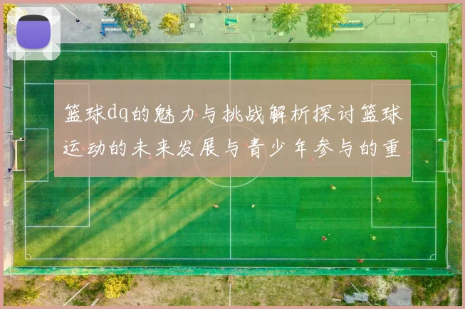 篮球dq的魅力与挑战解析探讨篮球运动的未来发展与青少年参与的重要性