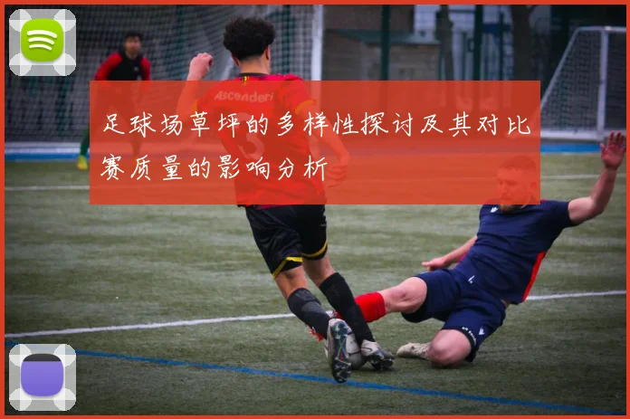 足球场草坪的多样性探讨及其对比赛质量的影响分析