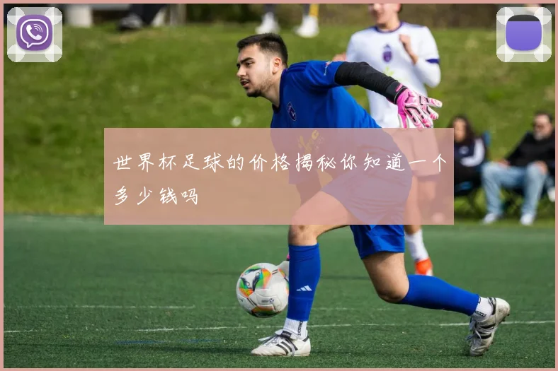 世界杯足球的价格揭秘你知道一个多少钱吗